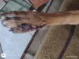 Mel