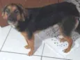 Malu