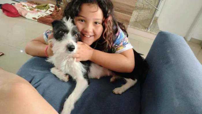 Cachorro raça SRD idade 2 anos nome Valentina 