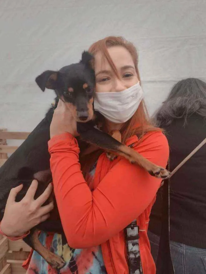 Cachorro raça Srd idade 7 a 11 meses nome Molly