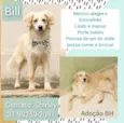 Bill