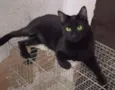 Paçoca