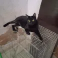 Paçoca