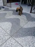 Rico