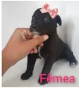 Não tem nome 
