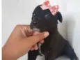Não tem nome 