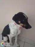 Nina