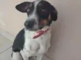 Nina
