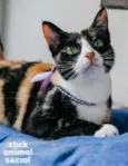 Kiara