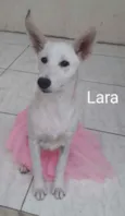 Lara