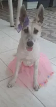 Valentina