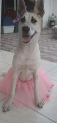 Valentina