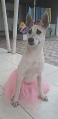 Valentina
