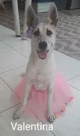 Valentina
