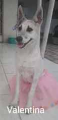Valentina