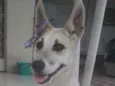Valentina