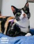 Kiara