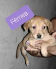 Sem nome 