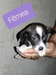Sem nome 