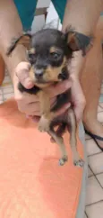 Bilu
