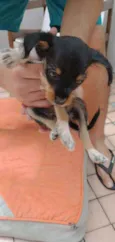 Manu