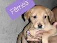 Sem nome 