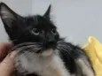 Pepe