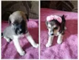 Maylon e Lola