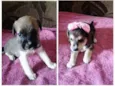 Maylon e Lola