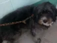Matias