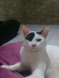 Jack