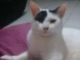 Jack