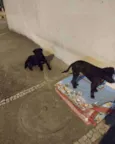 Pai e filho