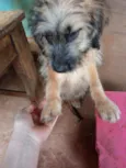 Spike