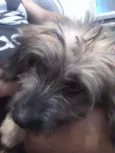 Spike