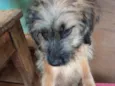 Spike