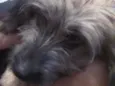 Spike