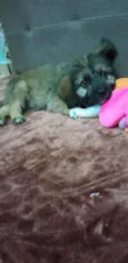 Spike