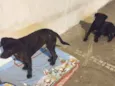 Pai e filho
