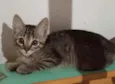 José 
