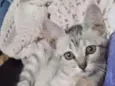 Lili