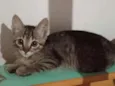 José 