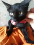 Doçura