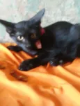 Doçura