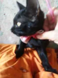 Doçura