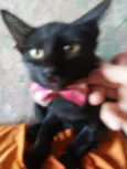 Doçura