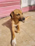 Não tem