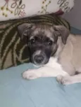 Não tem
