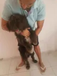 Baloo