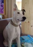Kira